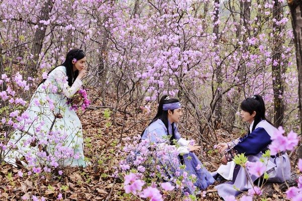 The King Loves to play in azalea-filled forests