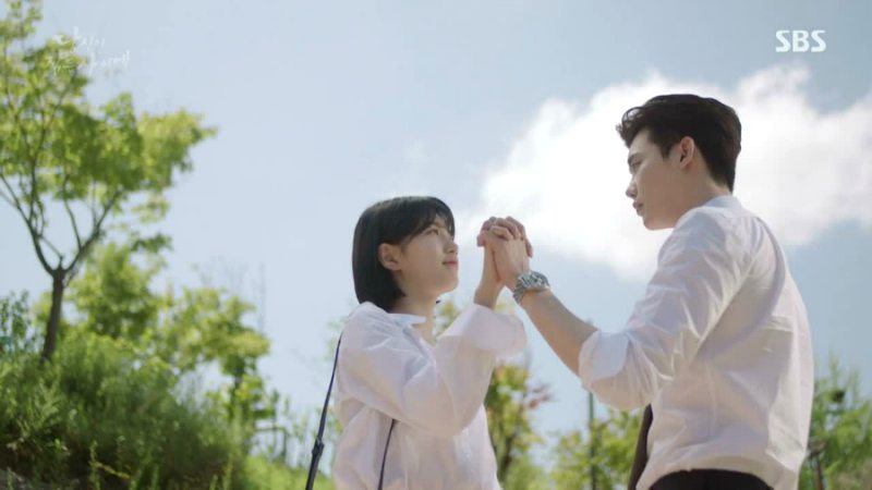 While You Were Sleeping: Episodes 31-32 (Final)
