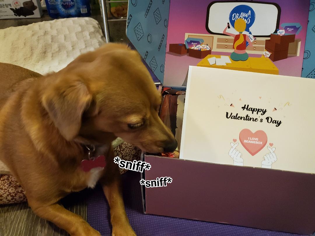 SailorJumun’s BeanieBox Review: Sweets for the single dog mom