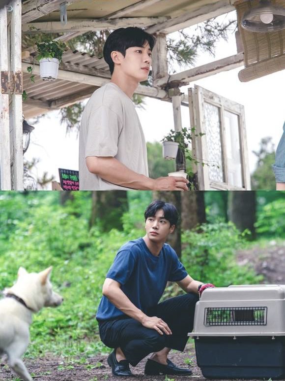 Joy, Choo Young-woo, and Baek Sung-chul in new stills for Unexpected Country Diary