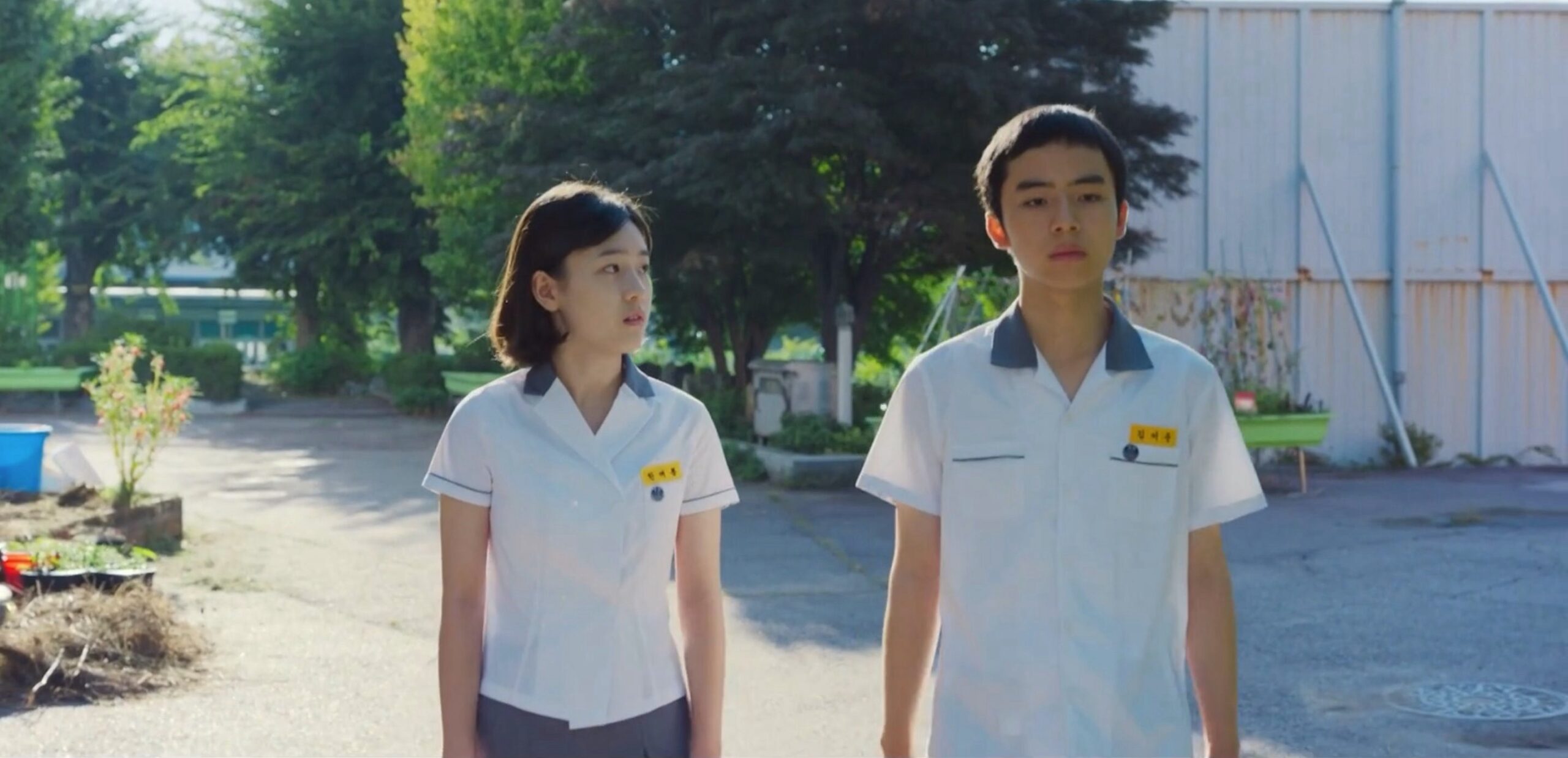 [Drama special review] Dog Days of Summer