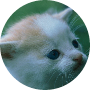 Profile picture of kittykatty