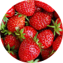 Profile picture of The first_Strawberry 